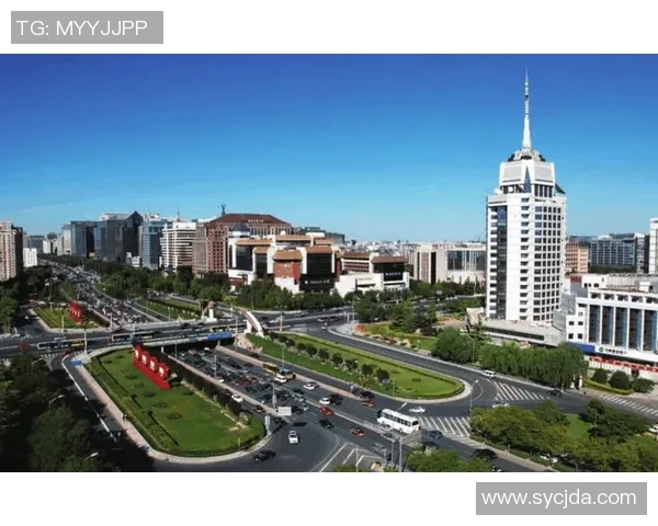 广州飞盘队的转型之路与发展趋势深度解析