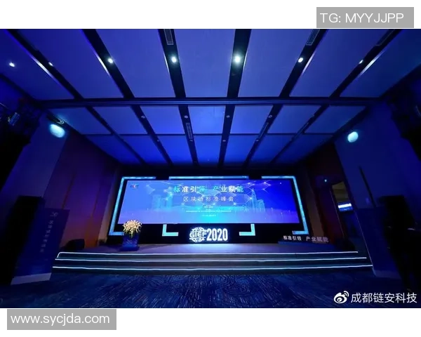 成都街舞队运营分析：成功经验与面临挑战的深度探讨