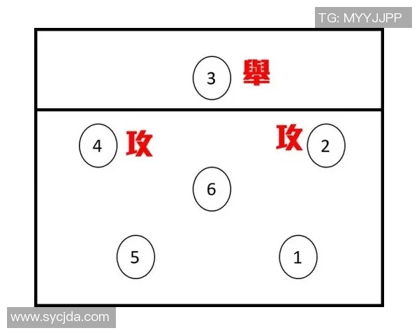 杭州排球队进攻战术解析与球员表现全面分析