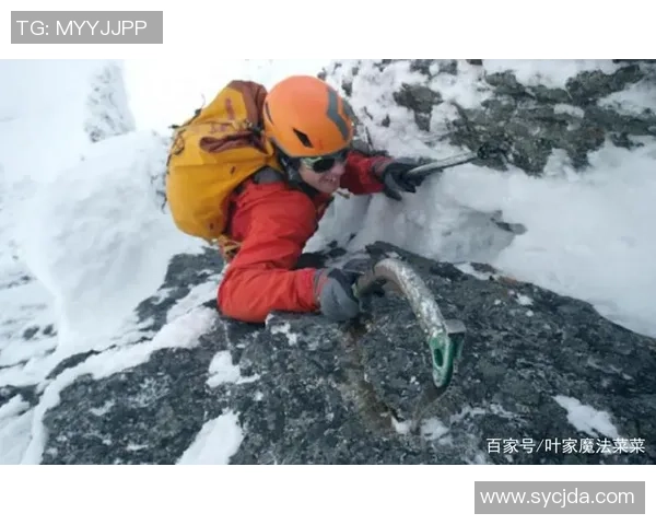 攀登人生的巅峰王丽与深度对话的攀岩故事