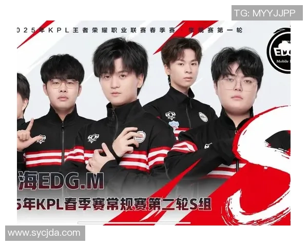 王者荣耀战术解析：深入探讨JDG战队的控制体系与战略布局