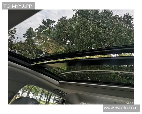 深圳与武汉极限运动队赛后复盘个人能力对比分析