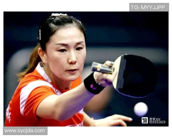 成都排球队逆袭欧锦赛的传奇旅程与背后故事揭秘