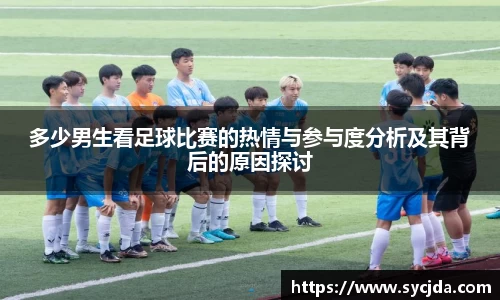 多少男生看足球比赛的热情与参与度分析及其背后的原因探讨
