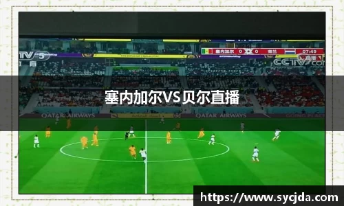 塞内加尔VS贝尔直播